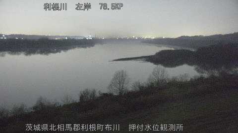 tonos2026012005_image