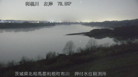 tonos2026012006_image