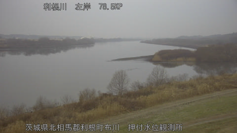 tonos2026012007_image