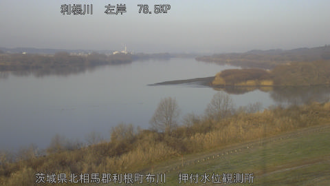 tonos2026012008_image