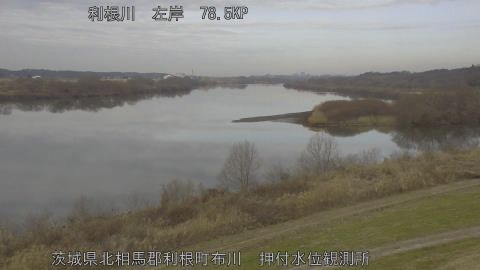 tonos2026012010_image