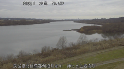 tonos2026012011_image