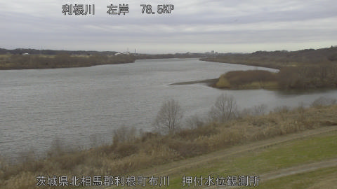 tonos2026012012_image