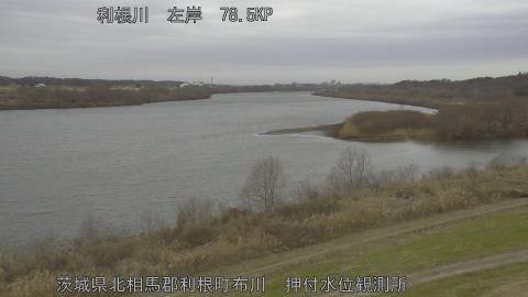 tonos2026012013_image