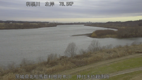 tonos2026012015_image