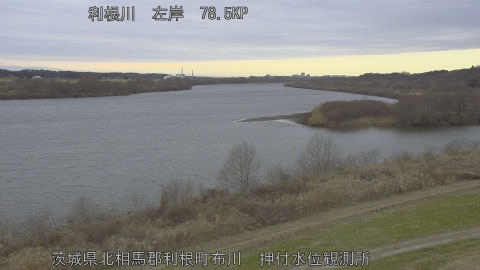 tonos2026012016_image