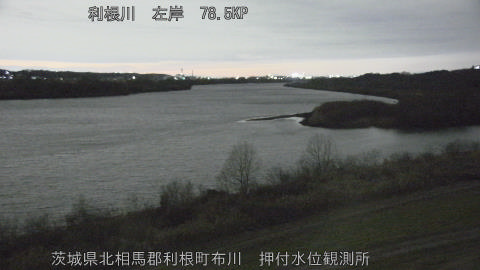 tonos2026012018_image