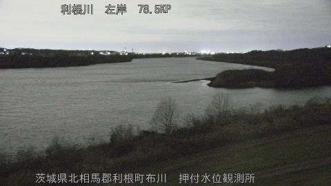 tonos2026012019_image