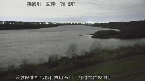 tonos2026012021_image