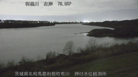 tonos2026012022_image