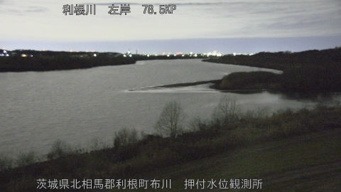 tonos2026012103_image