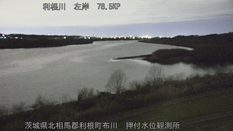 tonos2026012105_image