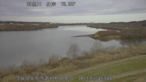 tonos2026012107_image