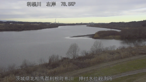 tonos2026012109_image