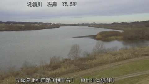 tonos2026012110_image