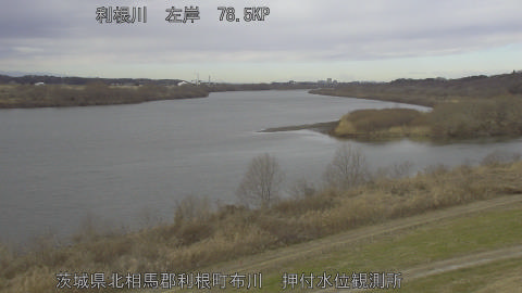 tonos2026012111_image