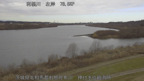 tonos2026012112_image