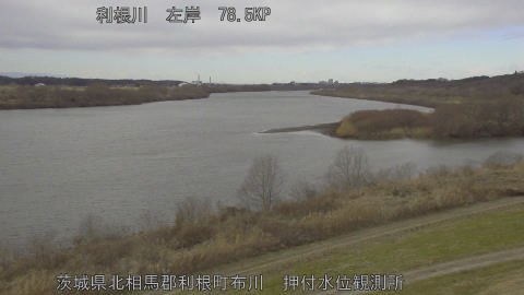 tonos2026012113_image