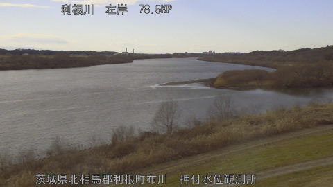 tonos2026012115_image