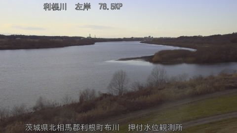 tonos2026012116_image