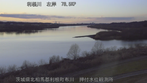 tonos2026012117_image