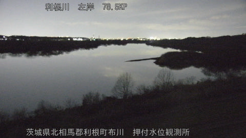 tonos2026012119_image