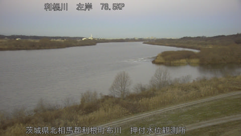 tonos2026012207_image