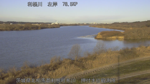 tonos2026012208_image