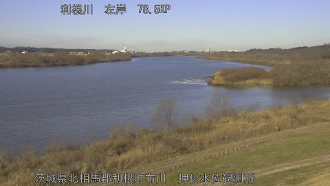 tonos2026012209_image