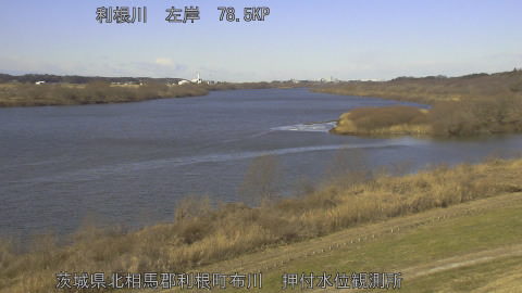 tonos2026012210_image