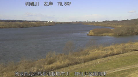 tonos2026012211_image