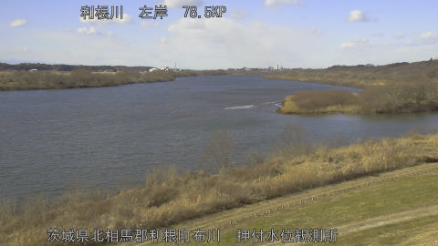 tonos2026012212_image