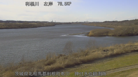 tonos2026012215_image