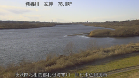 tonos2026012216_image