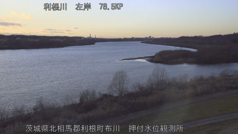 tonos2026012217_image