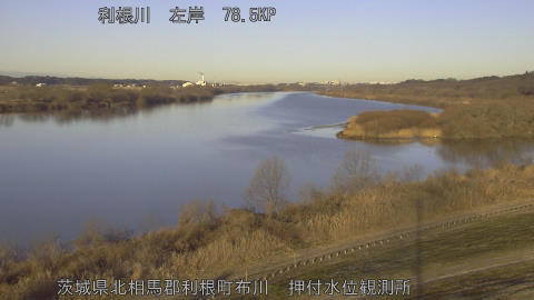 tonos2026012308_image