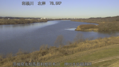 tonos2026012309_image