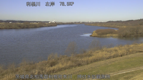 tonos2026012310_image