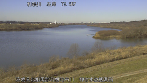 tonos2026012311_image