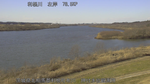 tonos2026012313_image