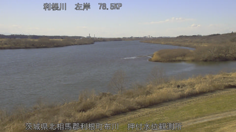 tonos2026012314_image