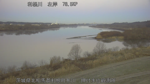 tonos2026012407_image