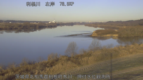 tonos2026012408_image