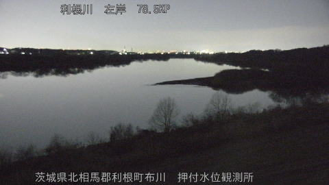 tonos2026012501_image