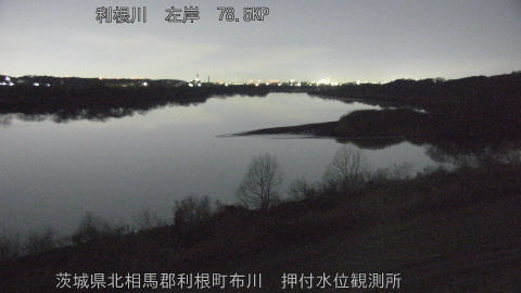 tonos2026012502_image