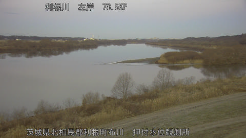 tonos2026012507_image