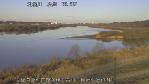 tonos2026012508_image