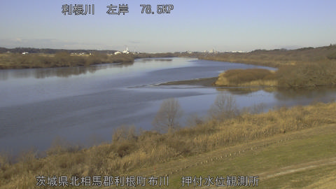 tonos2026012509_image