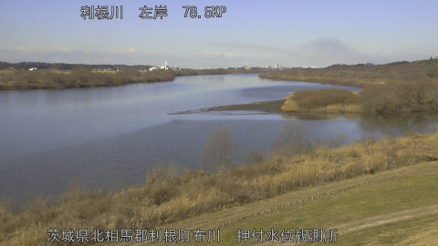 tonos2026012510_image