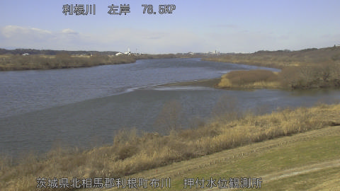 tonos2026012511_image